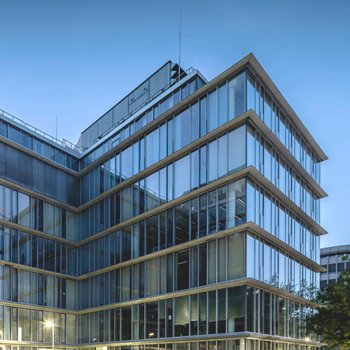 CLS Holdings