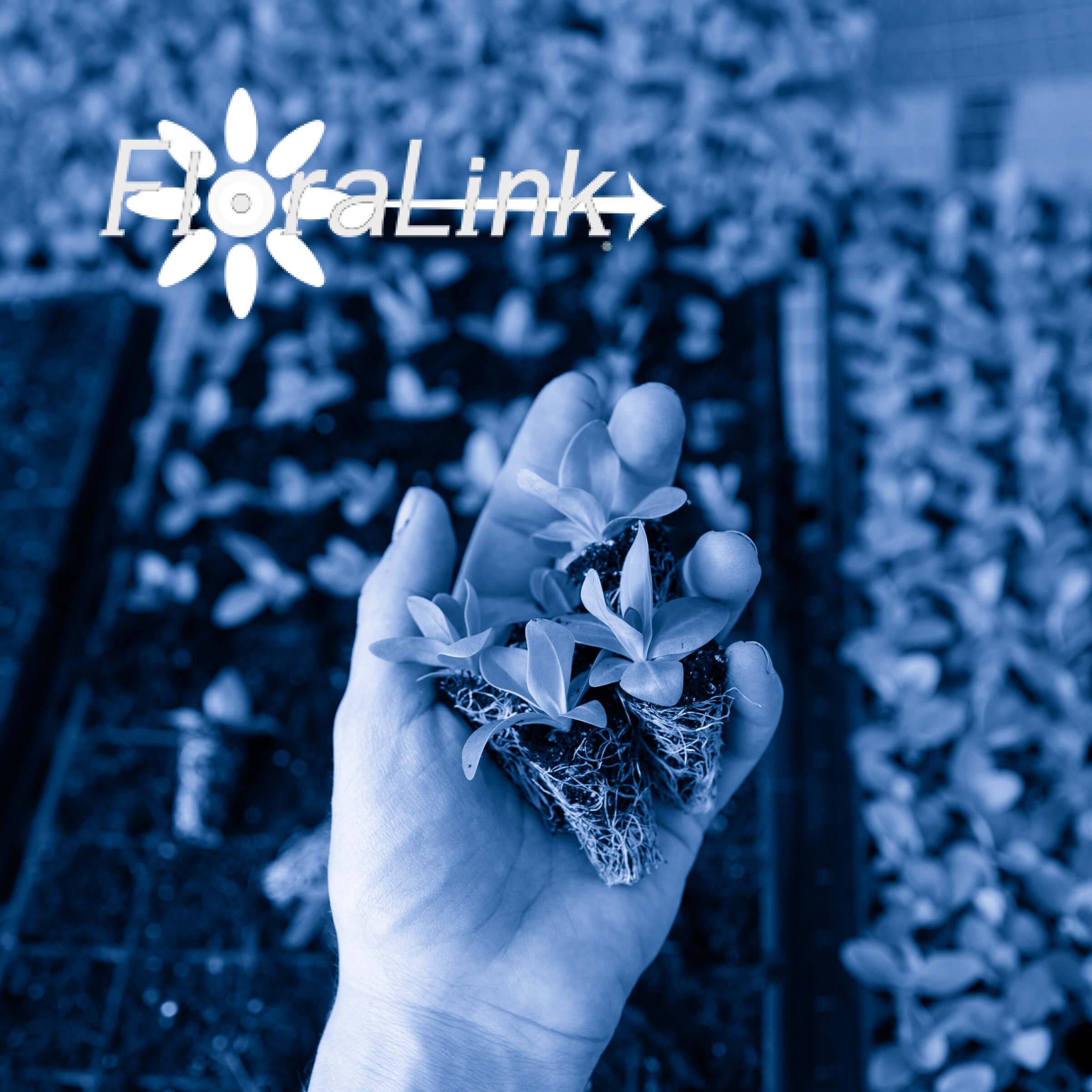 FloraLink customer story - Rossum